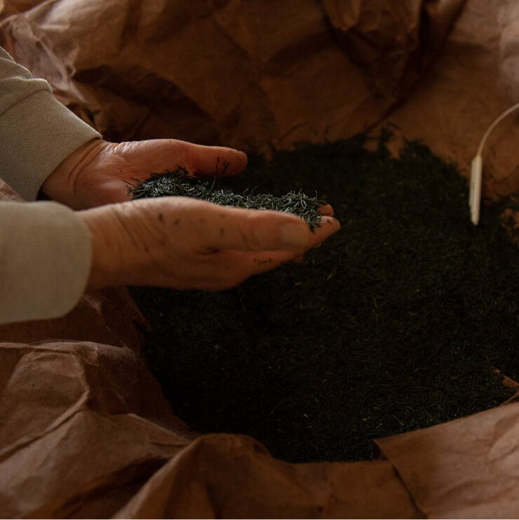 火入れをした茶葉を手ですくいあげている写真